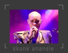 skunk anansie, poznan, uam, skin, skinny, concert, photos, zdjęcia